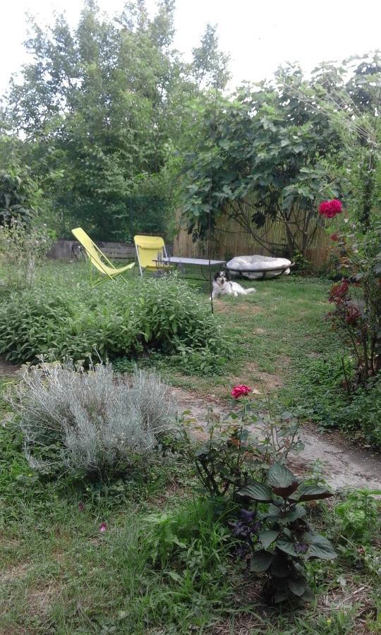 Apartmán Le Jardin Du Controleur Valence  Exteriér fotografie